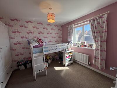 Picture 27